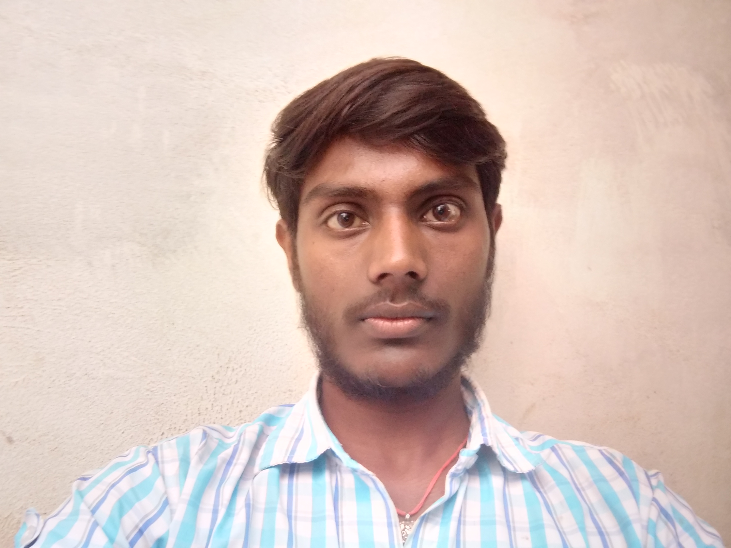 profile pic